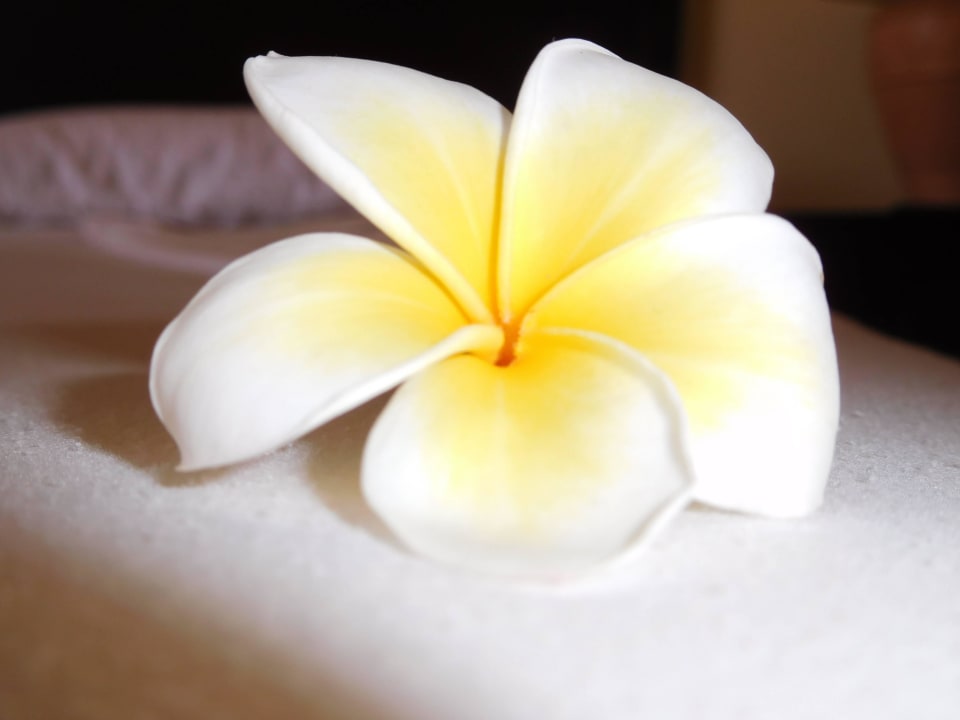 Deko Casa Mare Resort