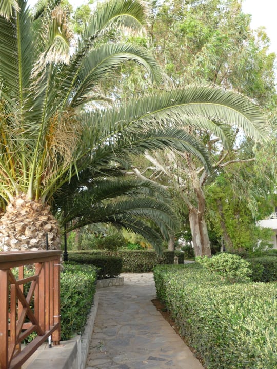 Sehr gepflegte Gartenanlage Apollonia Beach Resort & Spa