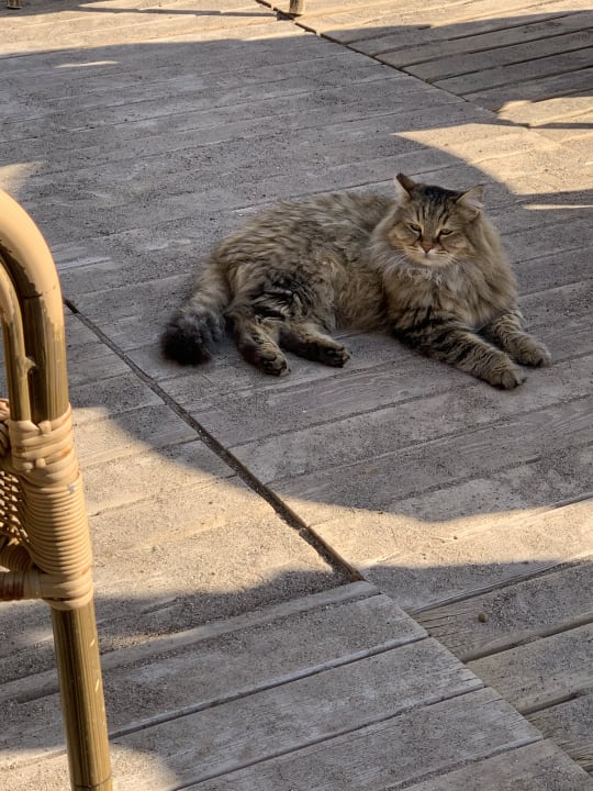 Strand Limak Lara Deluxe Hotel & Resort