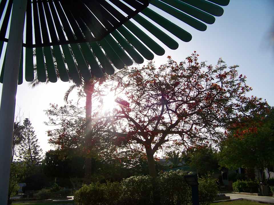 Strandblick Ghazala Beach