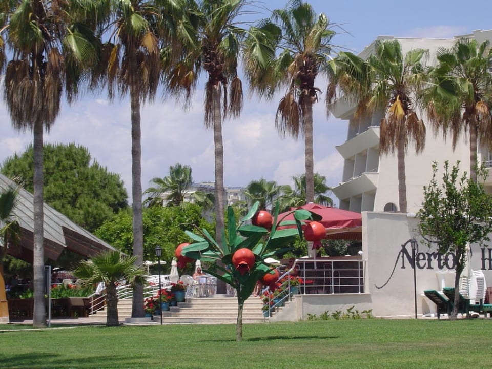 Gartenanlage Nerton Hotel - Erwachsenenhotel ab 16 Jahren