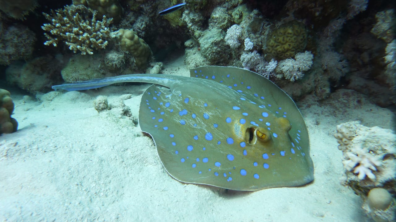 Sport & Freizeit Grand Waterworld Makadi & Family Star Makadi