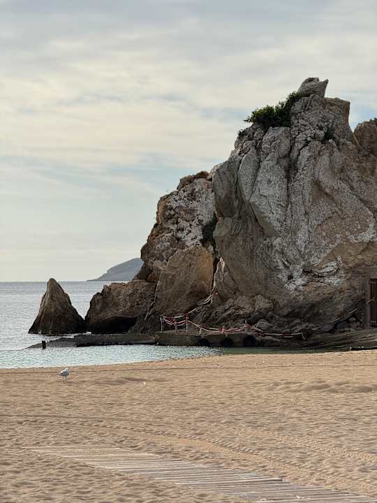 Strand Grupotel Imperio Playa