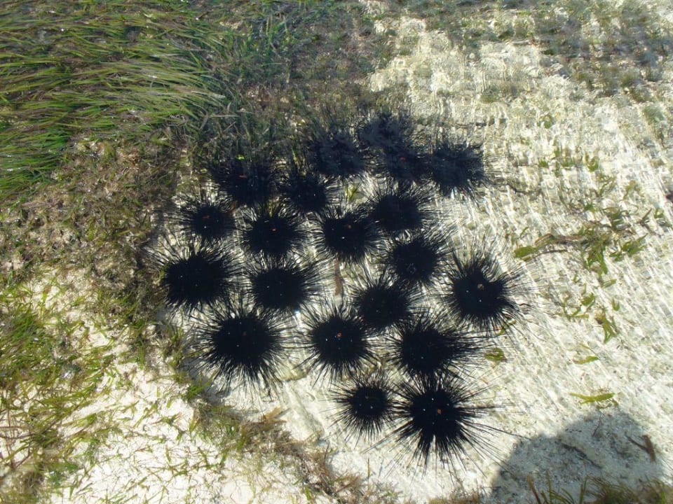 Bei Ebbe Hotel Traveller's Club