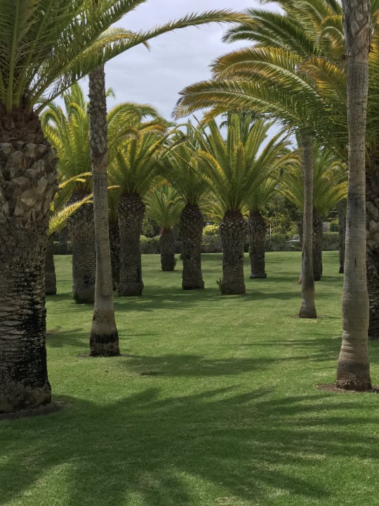 Gartenanlage Hotel Riu Palace Tenerife