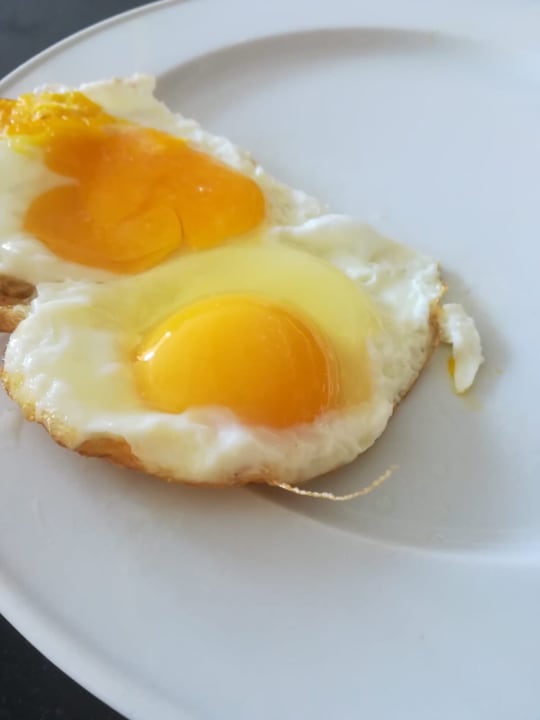 Gastro Pickalbatros Aqua Park Resort - Hurghada