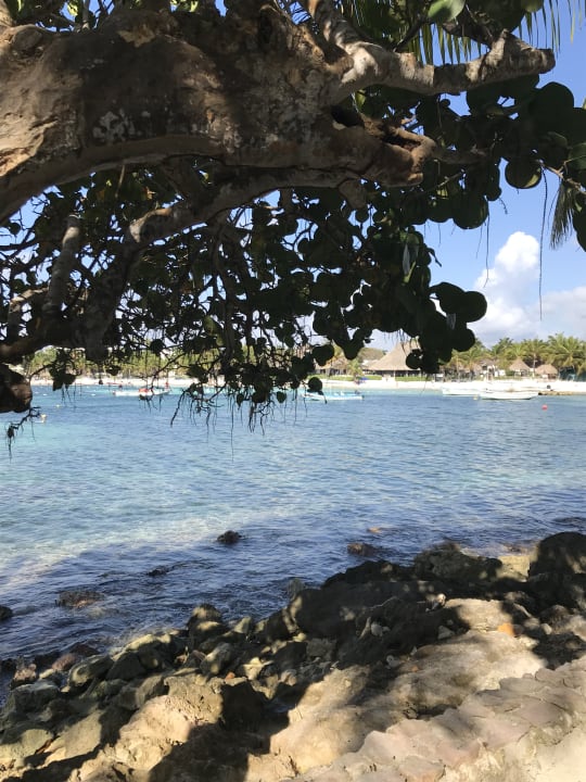 Strand Akumal Bay Beach & Wellness Resort