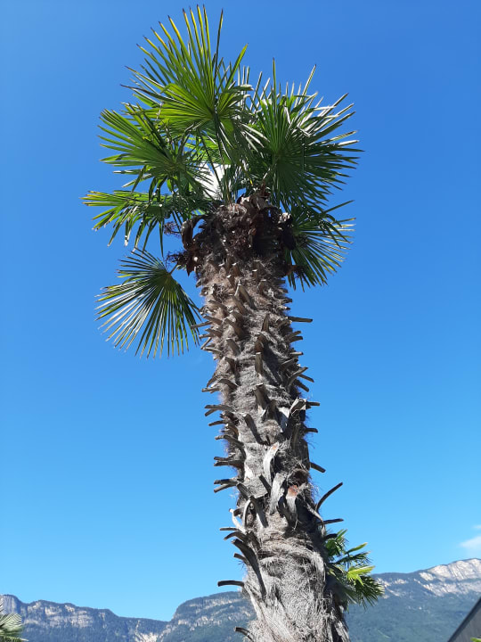 Ausblick Weinegg Wellviva Resort