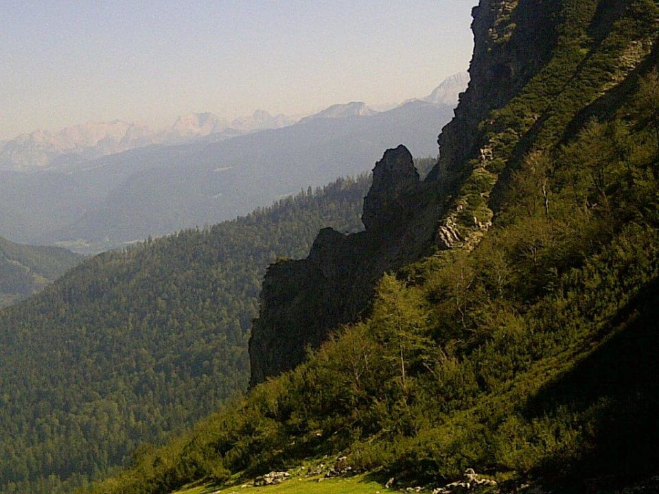 Wuhrsteinalm Wuhrsteinalm