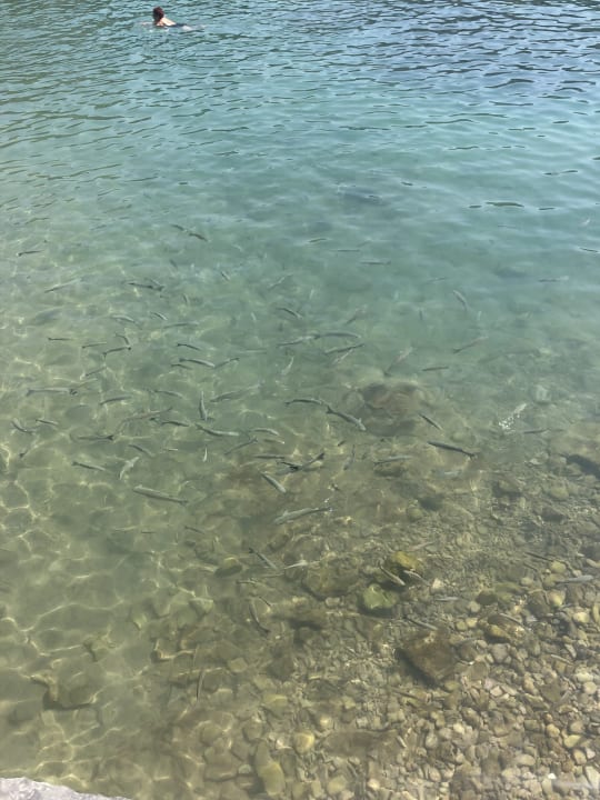 Strand Hotel Pine Bay Holiday Resort