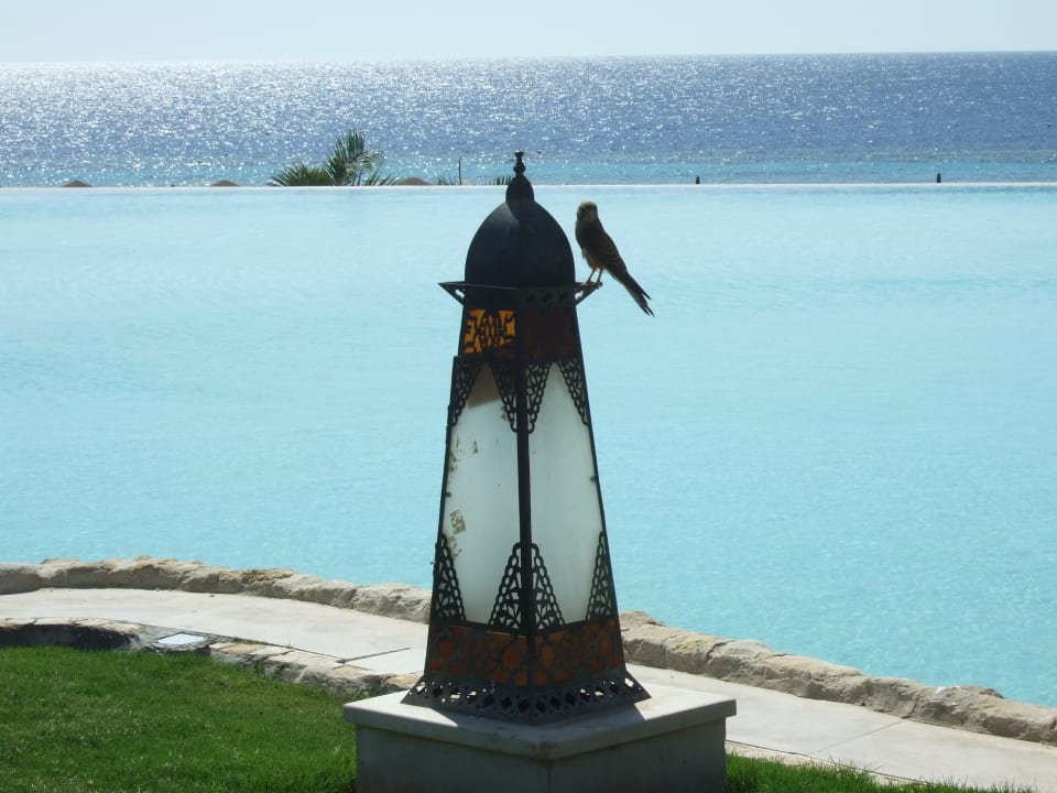 Außenansicht Makadi Spa - Adults only