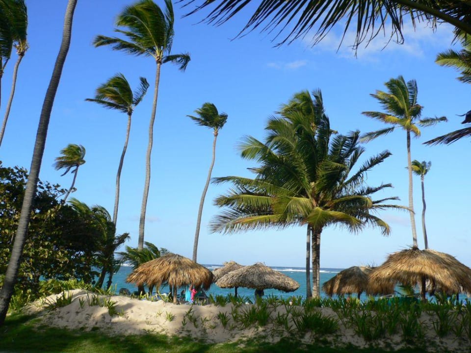 Ausblick Hotel Grand Palladium Palace Resort, Spa & Casino