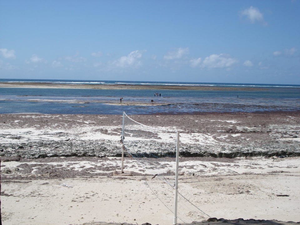 Lebensgefährlich Kaskazi Beach Resort