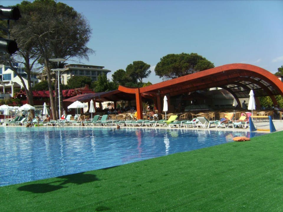 Die Daphne Bar am Pool Paloma Sencia