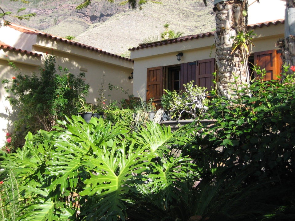 Blick vom Eingang Casas Rurales Las Rosas