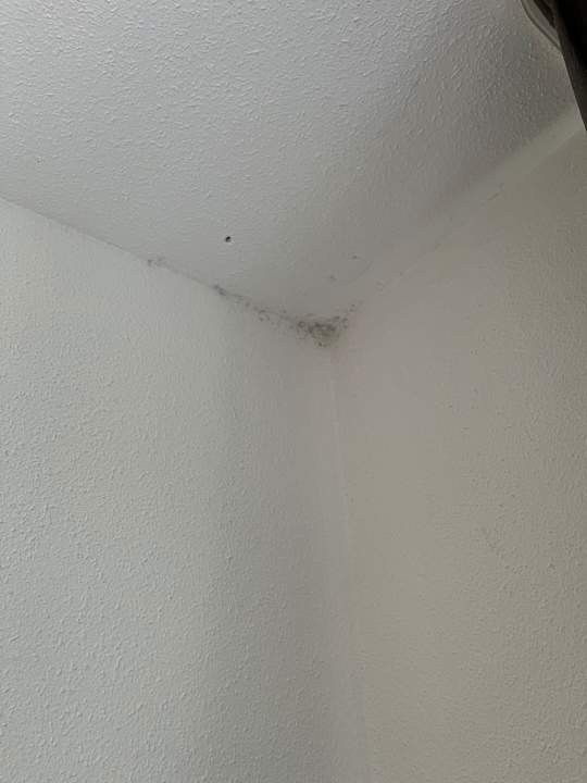 Zimmer Taste Hotel Jettingen