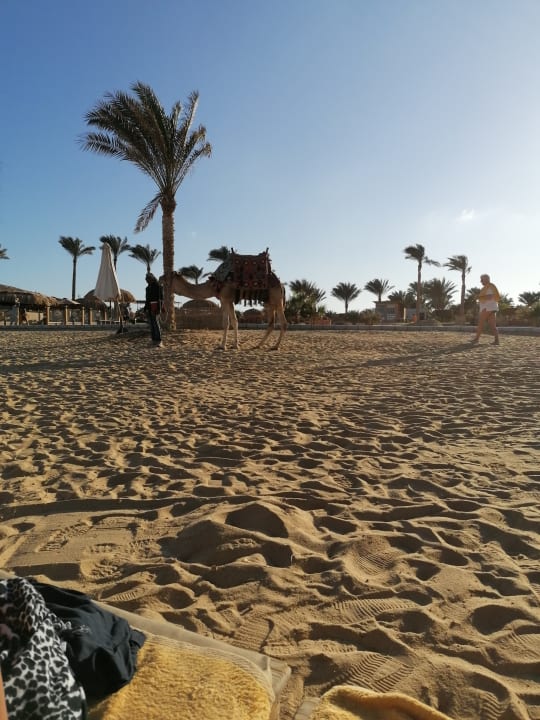 Strand Three Corners Sea Beach Resort