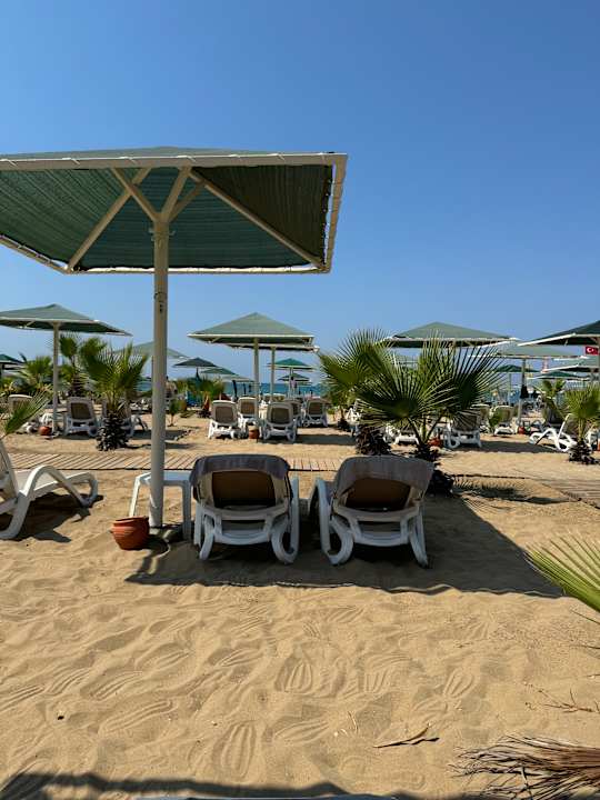Strand Paloma Oceana