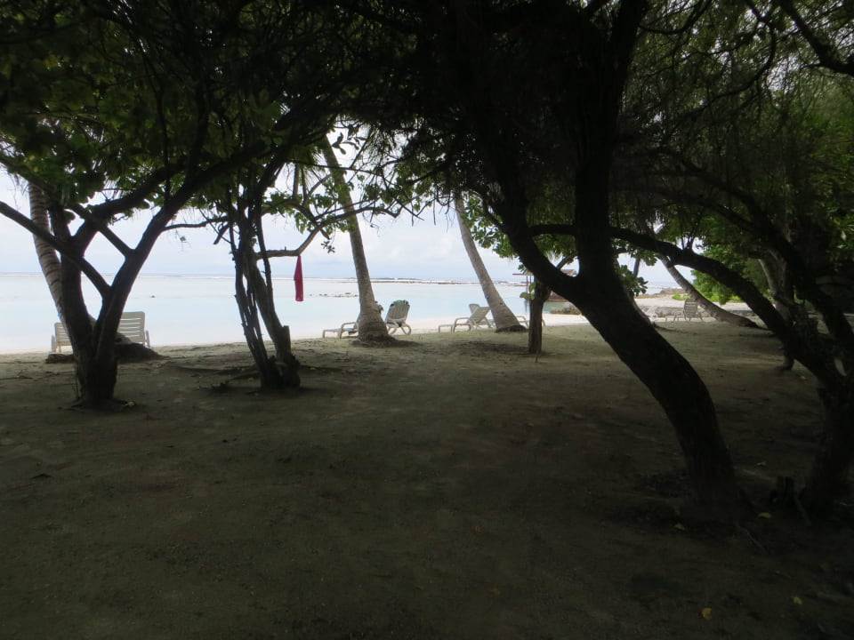 Spaziergang am Strand und den Beachvillen Adaaran Select Hudhuran Fushi - Premium All Inclusive