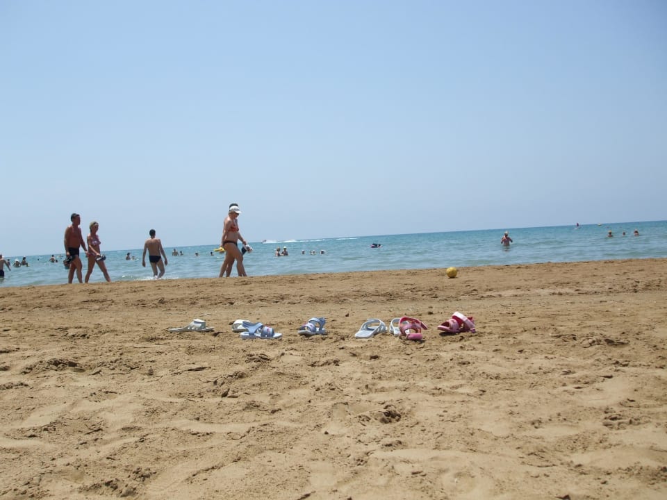 Latschenstation Paloma Oceana