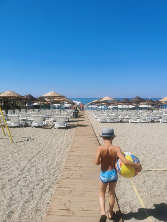 Strand Dizalya Palm Garden