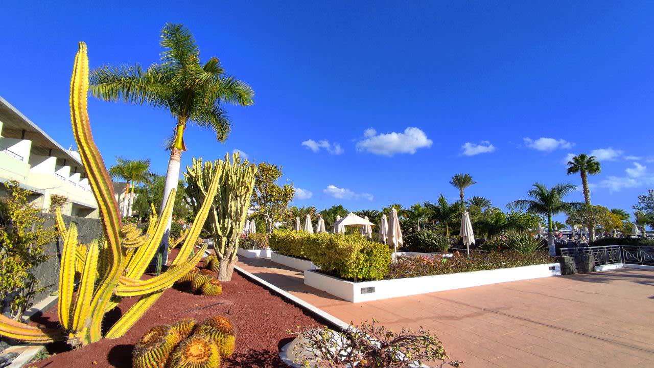 Gartenanlage Hotel Costa Calero