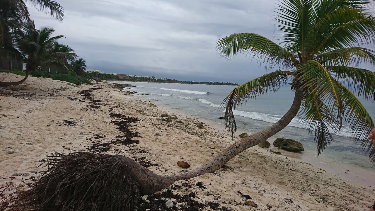 Strand Akumal Bay Beach & Wellness Resort