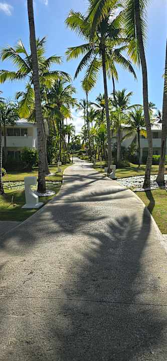 Gartenanlage Meliá Punta Cana Beach Resort - A Wellness Inclusive For Adults Only