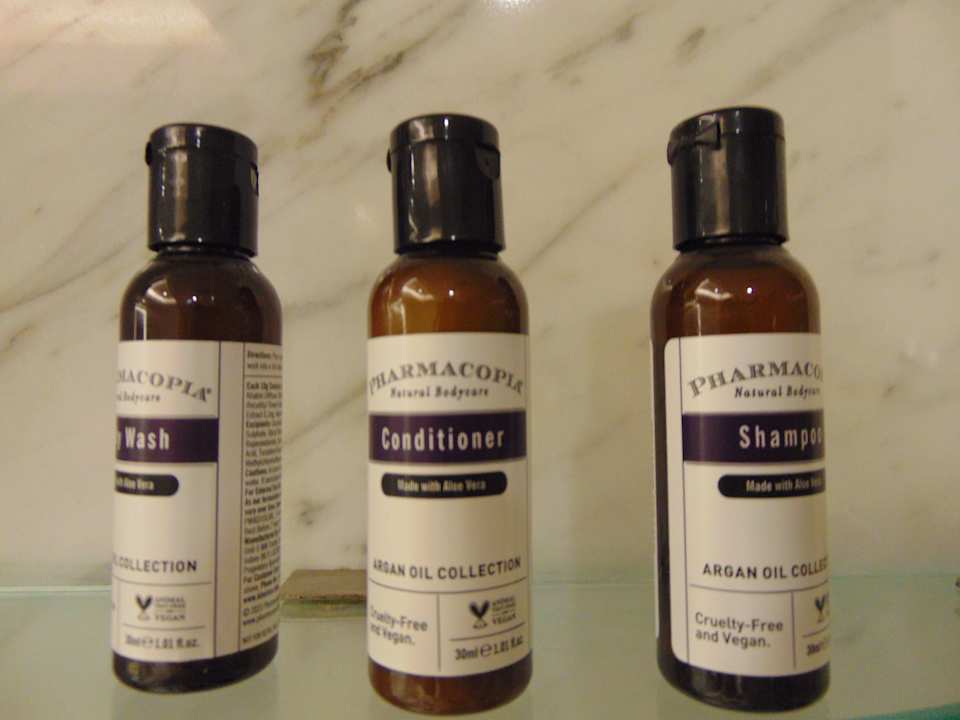 Zimmer Hotel Hyatt Regency Delhi