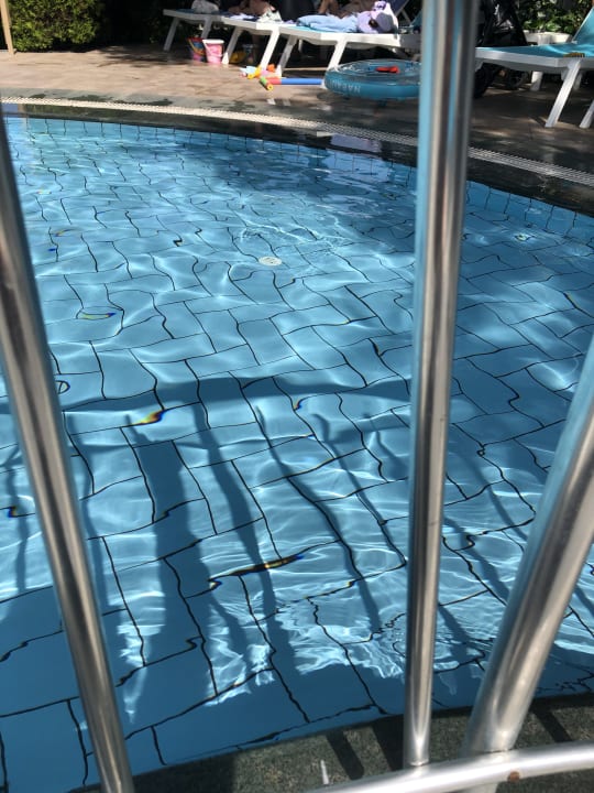 Pool Can Garden Beach