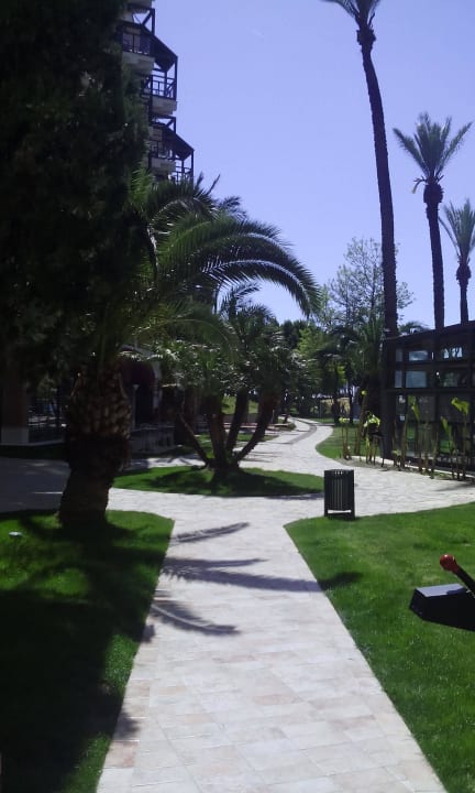 Природа на территории отеля Limak Limra Hotel & Resort