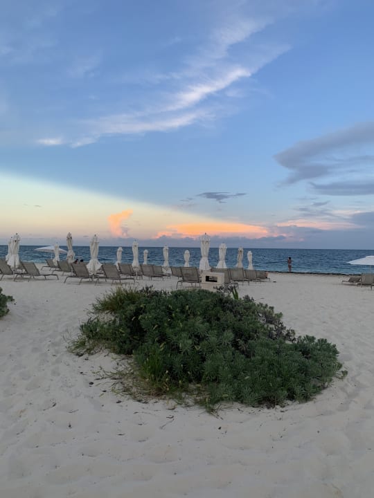 Strand TRS Coral Hotel - Adults Only