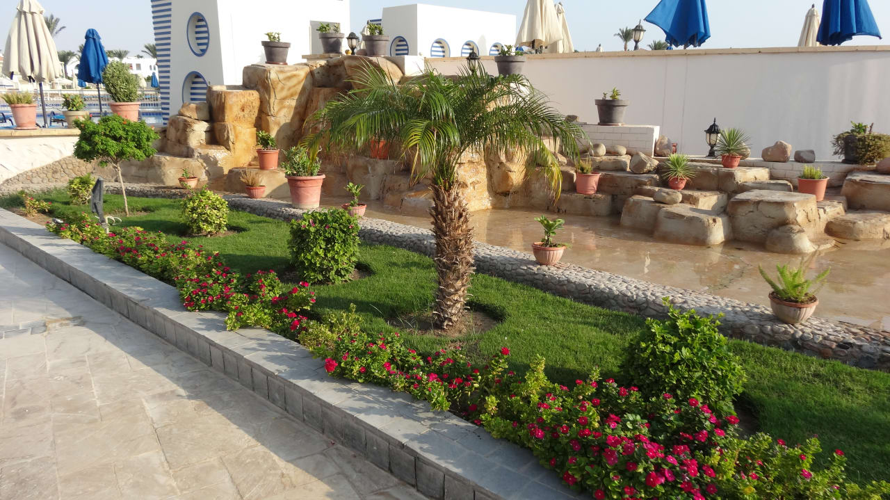 Gartenanlage Pickalbatros Dana Beach Resort - Hurghada