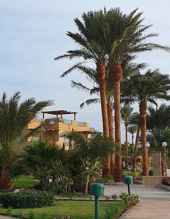 Gartenanlage Shams Safaga Resort