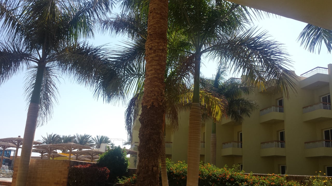 Gartenanlage Palm Beach Resort
