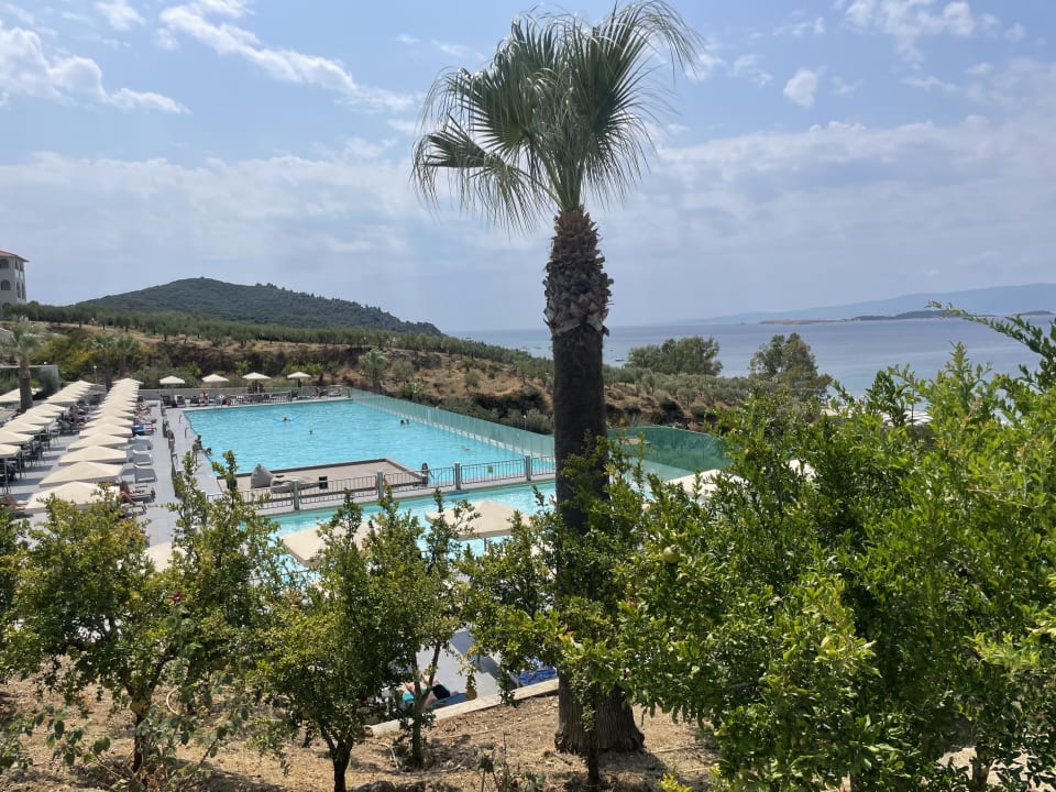 Pool Akrathos Beach Hotel