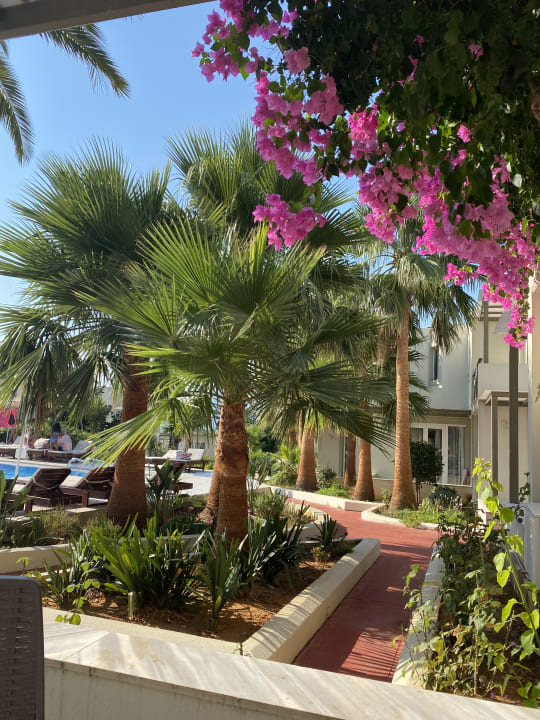 Zimmer HARPIN Georgioupolis Resort Aquapark & SPA