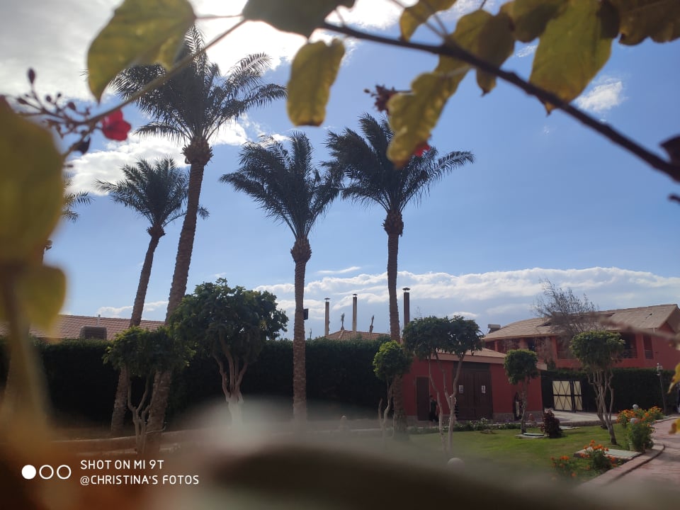 Ausblick Pickalbatros Alf Leila Wa Leila Resort - Neverland Hurghada