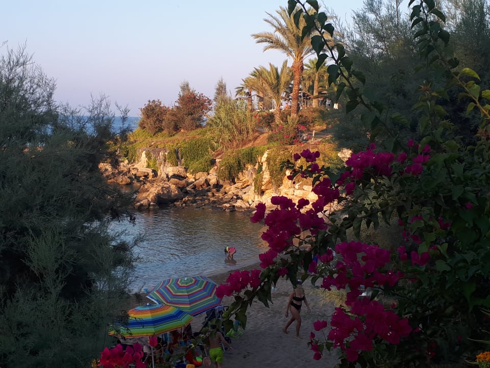 Ausblick Crystal Springs Beach Hotel