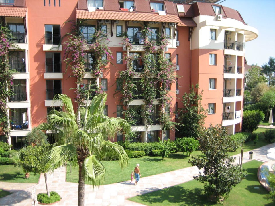 Ausblick Hotel Palmeras Beach Hotel
