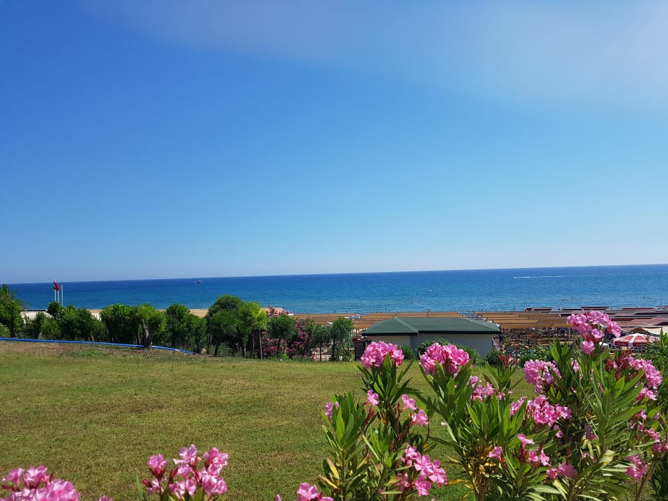 Ausblick Alba Queen Hotel