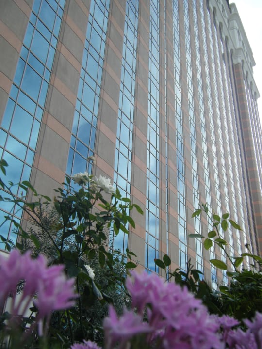 Gigantisch The Venetian Resort & Casino