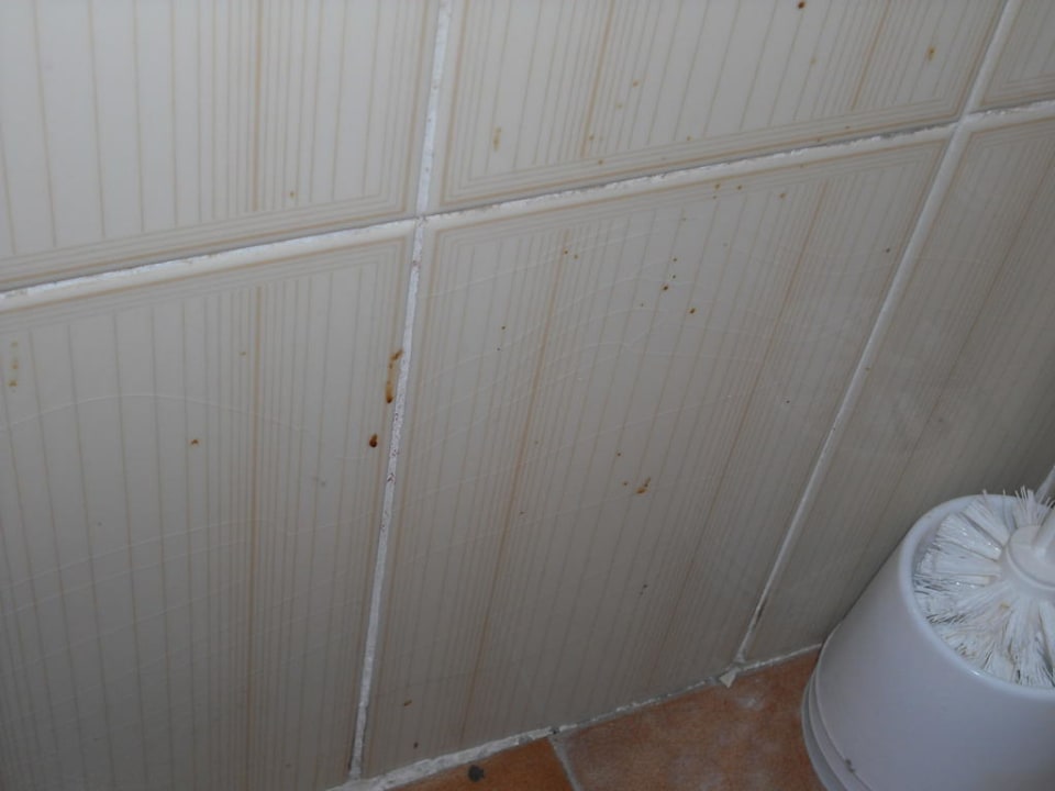 Lecker Spuren neben der Toilette! Bei Juan Playa Blanca