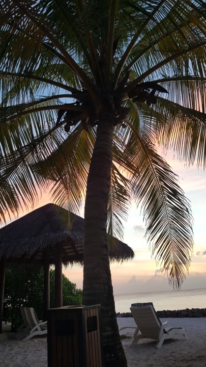 Strand Summer Island Maldives