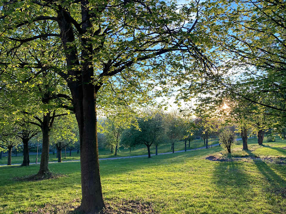 Außenansicht Apart Hotel am Sonnenhügel