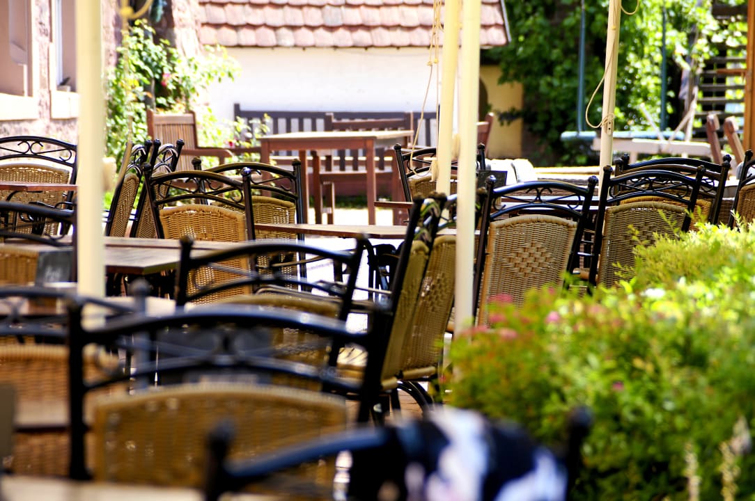Gartenanlage Hotel Franziskushöhe