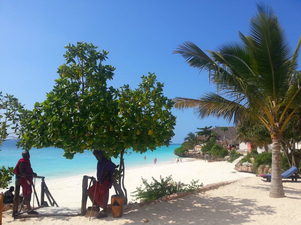 Liegewiese My Blue Hotel