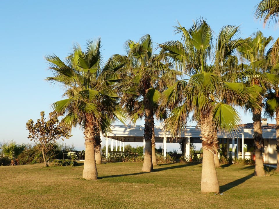 Strandbar VONRESORT Golden Coast