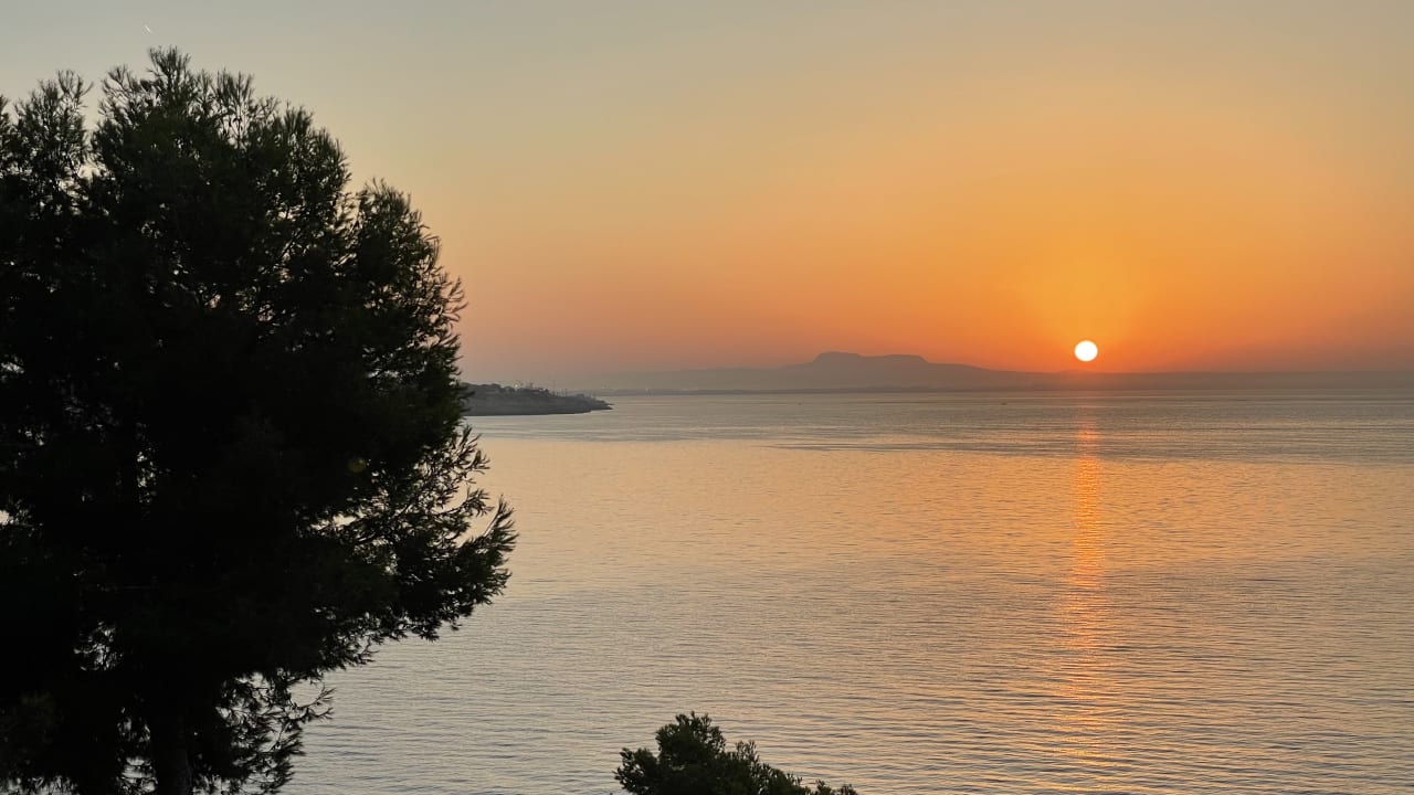 Ausblick Hotel de Mar Gran Meliá - Adults only