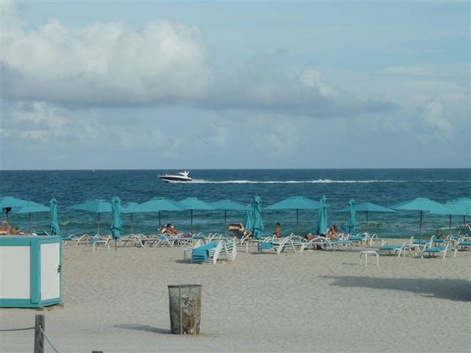 Hotelstrand The Palms Hotel & Spa